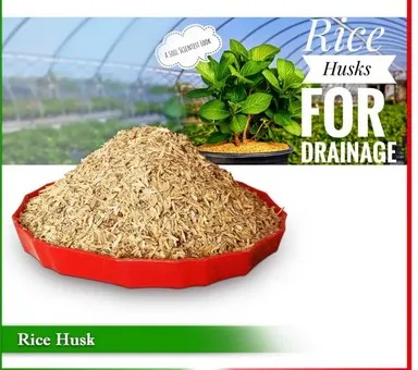 Natural%20Rice%20Husk%205%20kg%20Pure%20and%20Organic%20Husk%20for%20Manure%20and%20Fertilizer%20Rice%20Hulls%20for%20Plants%20and%20Gardening%20Rice%20Paddy%20Husk/Hulls%20for%20Plants%20Grow%20-%20Image%205
