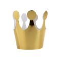 10Pcs Kids Birthday Hat Happy Birthday Paper Hats Prince Princess Crown Party Decoration for Boy Girl Birthday Party Decorations.