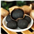 Black Garlic 500 gm. 