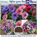 পিটুনিয়া/ Petunia Flower Seed -100 Pcs Mixed Color Petunia Flower Seed For All Season Imported Hybrid Seed.