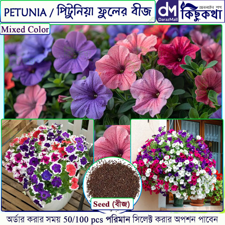 পিটুনিয়া/ Petunia Flower Seed -100 Pcs Mixed Color Petunia Flower Seed For All Season Imported Hybrid Seed