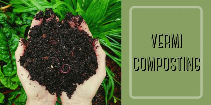 Vermicompost%20Organic%20Fertilizer%20%E2%80%93%20Odor%20Free%20&%20Worm%20Free%20(1%20Kg)%20-%20Image%205