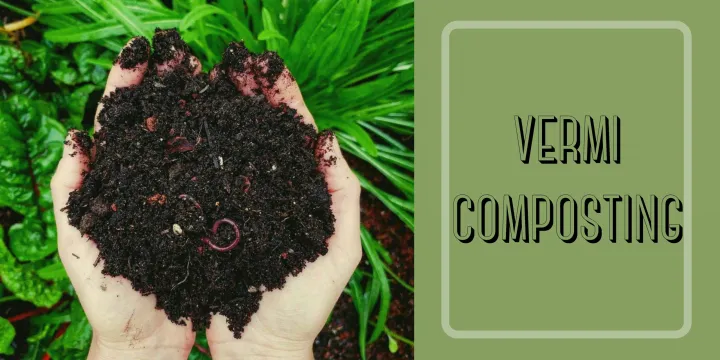 Vermicompost%20Organic%20Fertilizer%20%E2%80%93%20Odor%20Free%20&%20Worm%20Free%20(1%20Kg)%20-%20Image%205