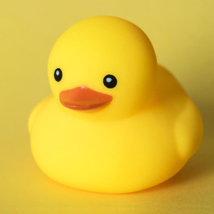 Rubber%20-Duck%20Family%20Bath%20Set%20(Set%20Of%204)%20-%20Floating%20Bath%20Tub%20Toy%20(Set%20Of%204)%20-%20Image%204