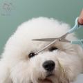 3pcs/set Pet Dog Professional Grooming Scissors Shears Hair Flat Scissor Comb Animal Cat Hair Cut Barber Cutting Tool Kit.
