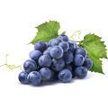 Superb Quality - 6 type of fruit seeds combo pack. 30+ seeds total + gift item. 