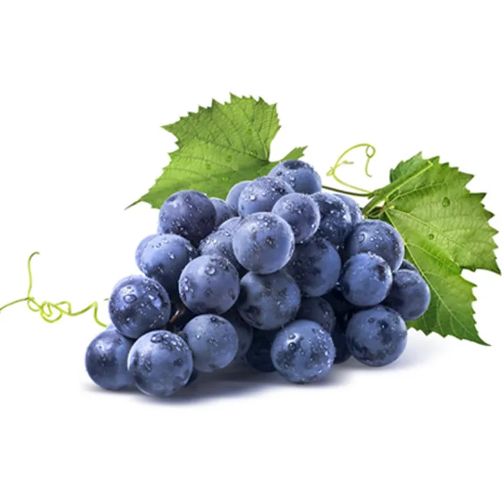 Superb%20Quality%20-%206%20type%20of%20fruit%20seeds%20combo%20pack.%2030+%20seeds%20total%20+%20gift%20item%20-%20Image%205