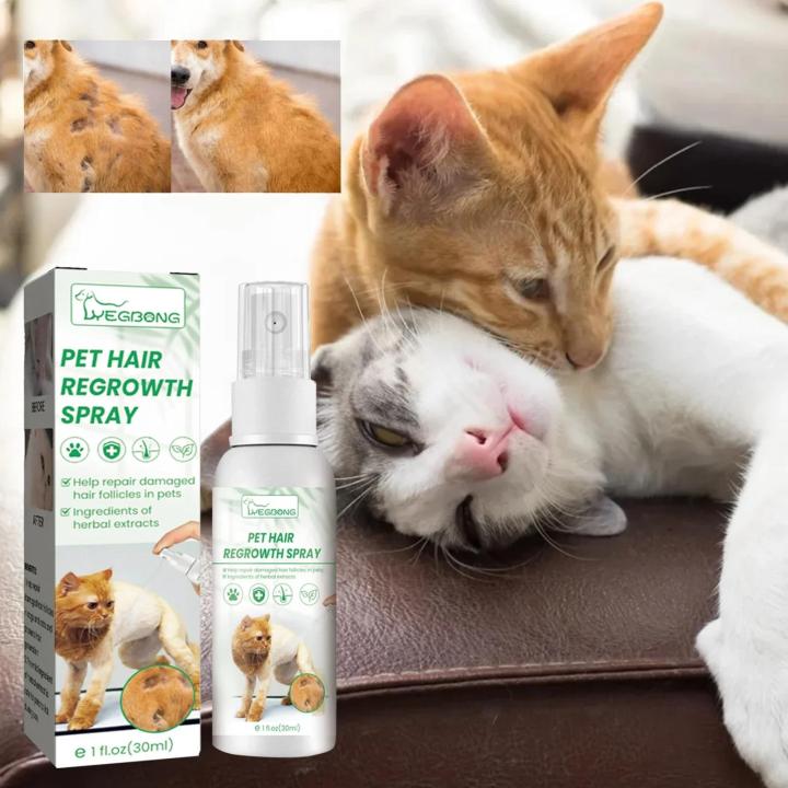Cat%20Hair%20Regrowth%20Liquid%20Dog%20Hair%20Loss%20Treatment%20Promote%20Cat%20Hair%20Growth%20Pet%20Skin%20Repair%20Relieve%20Itching%20Pet%20Skin%20Repair%20Essence%20-%20Image%203