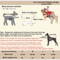 【Yuanzhss Pet dog chucky costume dog outfit chuckie pet costume frenchbulldog cartoon pet cowboy Costume for cat dog costume for shih tzu cat funny costume toy poodle dog clothes Puppy clothes haloween costume dog 狗狗搞怪衣服 造型狗衣服. 
