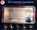 20 ডিম ইনকিউবেটর মেশিন সেমি অটো ac 220v W-3001 কন্ট্রোলার স্বয়ংক্রিয় তাপমাত্রা নিয়ন্ত্রণ ডিজিটাল ডিসপ্লে সেরা ইনকিউবেটর মেশিন.