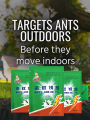 Ant Killing Bait China Ready to Use Granules Powder Red Fire Ants 3g. 