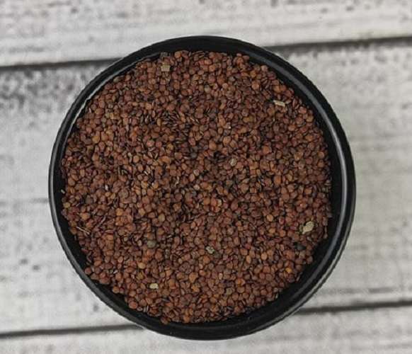 Talmakhna Powder - Talmakhna gura- 100 gm