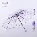 TRANSPARENT UMBRELLA.