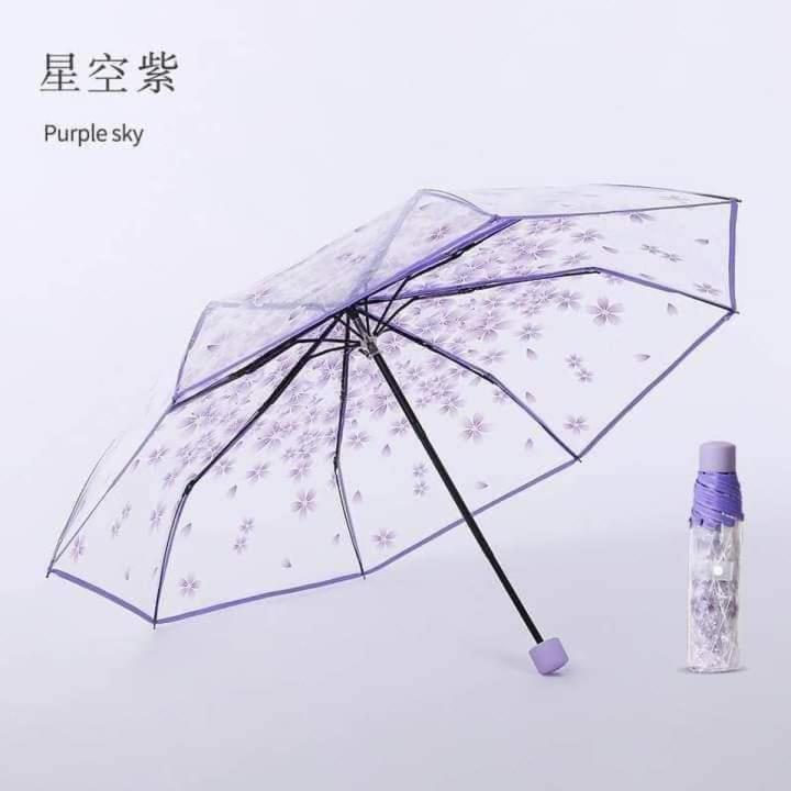TRANSPARENT UMBRELLA