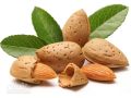 Almonds - 100gm. 
