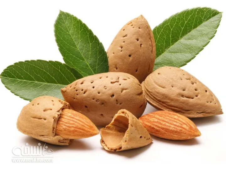 Almonds%20-%20100gm%20-%20Image%205