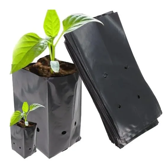 Nursery%20Black%20Poly%20Bag%2010/10%20inch%20(250gm%20-4kg)%20for%20Planting%20Nursery%20Pots%20Plant%20Grow%20Bags%20Seedling%20Planter%20-%20Image%202
