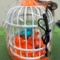 Talking Birds Singing and Chirping Birds for Kids Rechargeable Battery with Cable. 