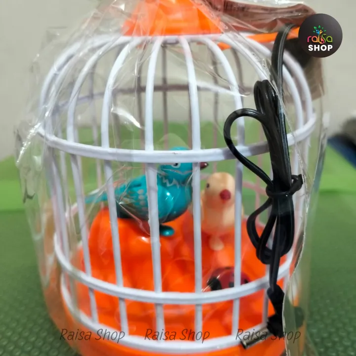 Talking%20Birds%20Singing%20and%20Chirping%20Birds%20for%20Kids%20Rechargeable%20Battery%20with%20Cable%20-%20Image%203