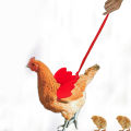 1Pc Cute Pet Harness Adjustable Stainless Long Rope Leash for Duck Chickens Outdoor.