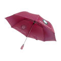 BMW Motorsport umbrella..