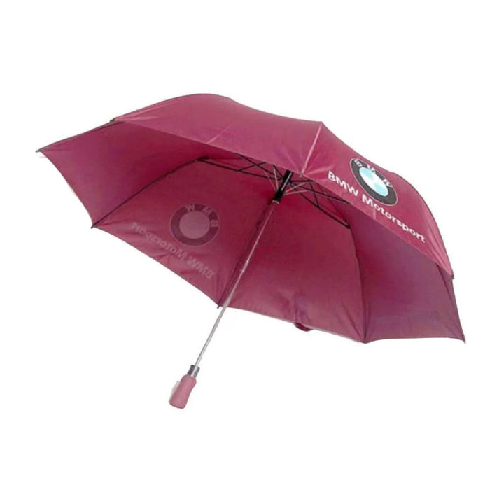 BMW Motorsport umbrella.