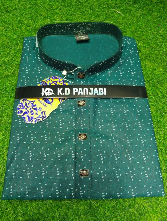 Panjabi%20-%20Image%205