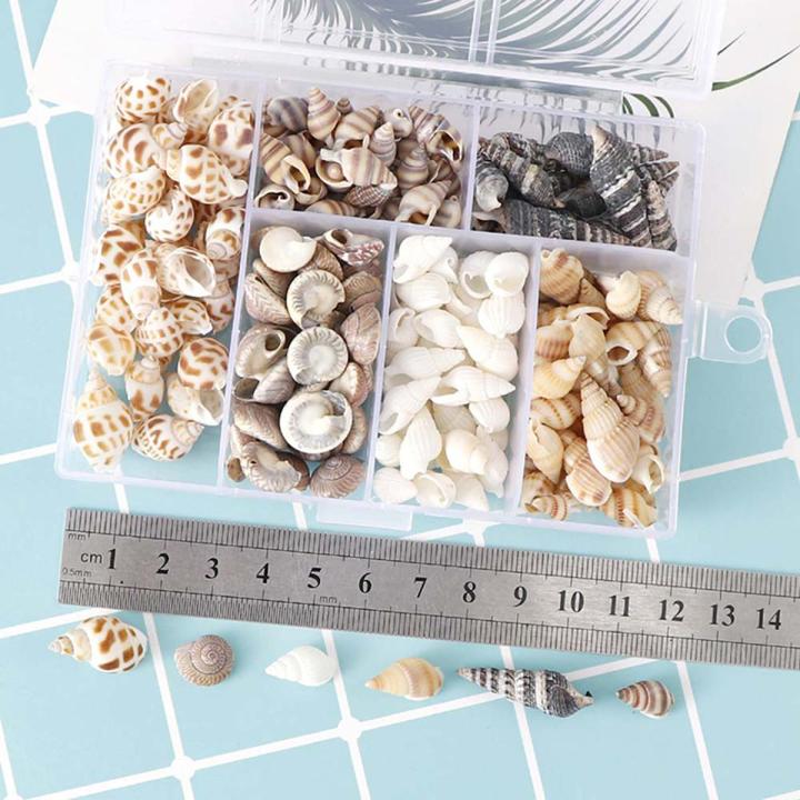 About 100Pcs/Box Natural Conch Shells Aquarium Landscape Seashells Crafts Decor Cherry Super Store