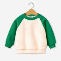 Girls' sweatshirt autumn and winter clothes 2023 new baby girl foreign style long sleeve top clothes children's autumn clothes big children's base shirt.
