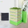 Seed Sprouting Kits Seedling Starter Tray with Lid Versatile Germinate Seeds Indoors Grower for. 
