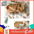 New HelloWorld Floral Journaling ticker Tranparent PET Vintage Natural Flower Planner ticker. 