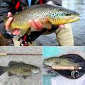 Fly Fishing Flies with Hooks, Lures, Artificial Baits for Perch, Trout, Fishing. 