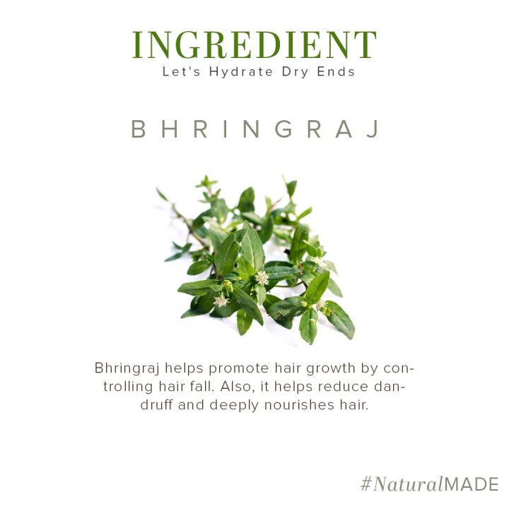 Khadi%20Natural%20Bhringraj%20Hair%20Oil%20For%20Controlling%20Hair%20Fall,%20Nourishing%20Oil%20For%20Healthy%20Hair%20Growth,%20Paraben%20&%20Silicone-Free%20Suitable%20For%20All%20Hair%20Types,%20210ml%20-%20Image%203