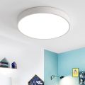 LED Ceiling Light Round Ultra Slim 24 W Diameter 30 x 4 cm Warm White 3000 K Lamp for Living Room Bedroom Office Kitchen Office (White).