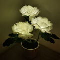 New Solar Peony Flower Lamp LED Simulation Peony Flower Potted Lamp Home Ornament Decorative Table Lamp Night Light. 