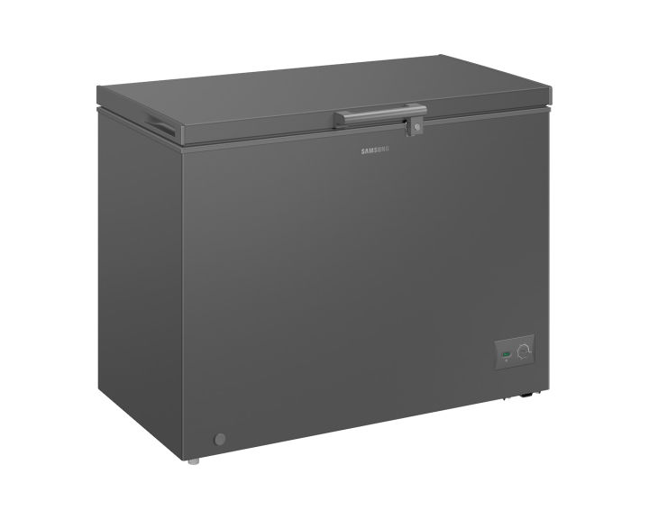 SAMSUNG%20287%20Liter%20One%20Door%20Freezer%20with%20Premium%20Design%20%7C%20RI70F29V2GAUT%20-%20Image%202