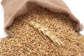 Red Wheat Grain For Brids Foods -( লাল গমের দানা )-1Kg. 