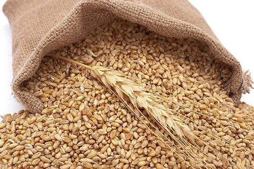Red%20Wheat%20Grain%20For%20Brids%20Foods%20-(%20%E0%A6%B2%E0%A6%BE%E0%A6%B2%20%E0%A6%97%E0%A6%AE%E0%A7%87%E0%A6%B0%20%E0%A6%A6%E0%A6%BE%E0%A6%A8%E0%A6%BE%20)-1Kg%20-%20Image%205