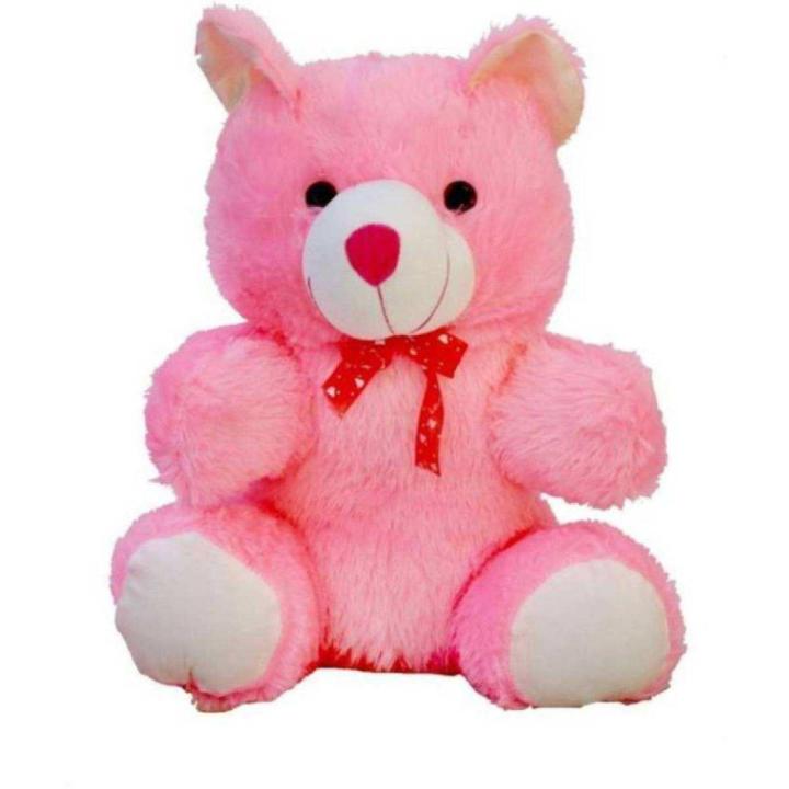 Woolen Teddy Bear- Best Love Gift (Small size)
