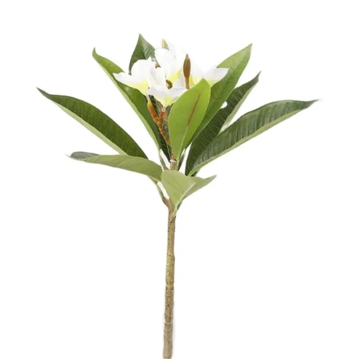 One%20Faux%20Single%20Stem%20Frangipani%2023%20Length%20Simulation%20Plumeria%20Real%20Touch%20Green%20Leaf%20for%20Wedding%20Centerpieces%203%20Colors%20-%20Image%203
