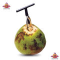 Coconut Hole Opener/Coconut Opener/Coconut Cutter/Dav Opener/Green Coconut Hole Opener. 