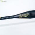ALP-SPORT GD【Righteous】Golden Dragon Badminton Racket ★10U Super Light (52g)★T800 Full Carbon★26/28/30Lbs Tension 🔥Free Delivery | 1-Year Warranty | Pro-Level Performance🔥.
