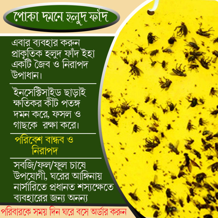 Yellow%20Sticky%20Traps%20-%20Adhesive%20Insect%20killing%20Trap%20-%20Yellow%20Color%20Traps%20Insects%20killer%20Trap%20-%20Yellow%20Sticky%20for%20Insect%20(5%20pcs%20Bundle)%20-%20Image%204