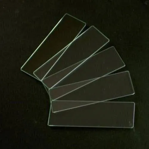microscope%20slides%20sail%20brand%2072pcs%20Slides%201x3%20inch%20-%20Image%203