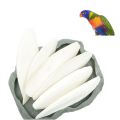 Cuttlefish bone for birds(Cuttlefish Bird Food)-500 gm. 