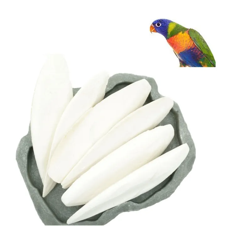 Cuttlefish%20bone%20for%20birds(Cuttlefish%20Bird%20Food)-500%20gm%20-%20Image%203