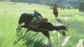 The Legend of Zelda: Breath of the Wild Nintendo Switch Game.