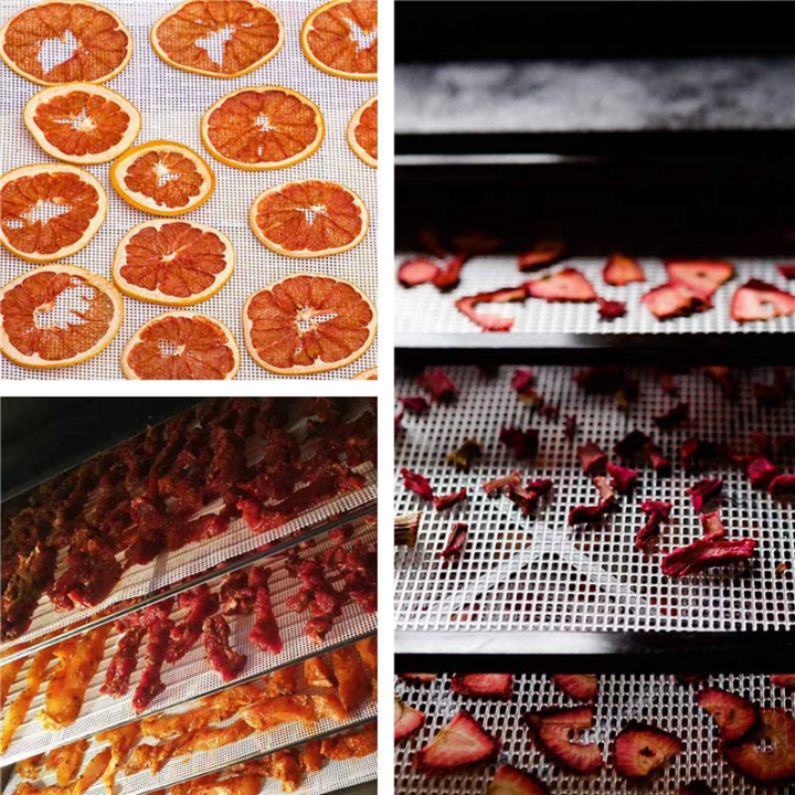 Non-Stick%20Silicone%20Dehydrator%20Sheets,Fruit%20Dehydrator%20Mats%20Reusable%20Steamer%20Mat%20Mesh%20Sheet%20for%20Fruit%20Dryer%2032%20Pcs%20-%20Image%203