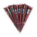 Kaveri Indian Mehndi Cones 6 Pcs. 
