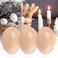 ECHIDNA Simulation Egg Home Ornament House Accessories Fake Simulation Egg. 